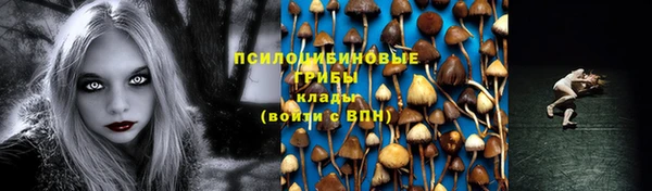 MDMA Няндома