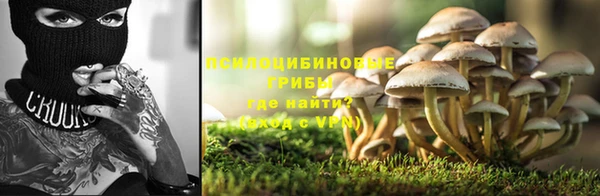гидропоника Дмитров