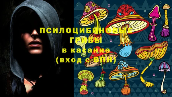 спиды Канск