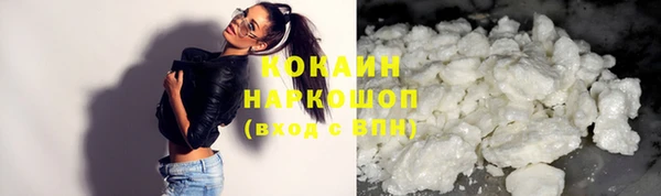 соль ск Дмитриев