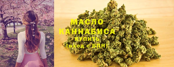 соль ск Дмитриев