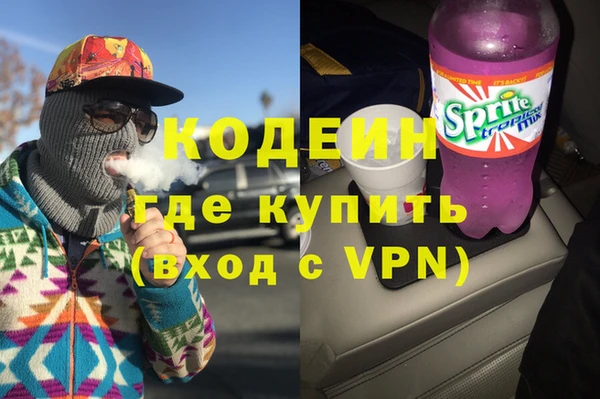 соль ск Дмитриев
