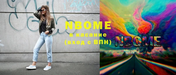 соль ск Дмитриев