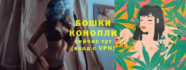 соль ск Дмитриев