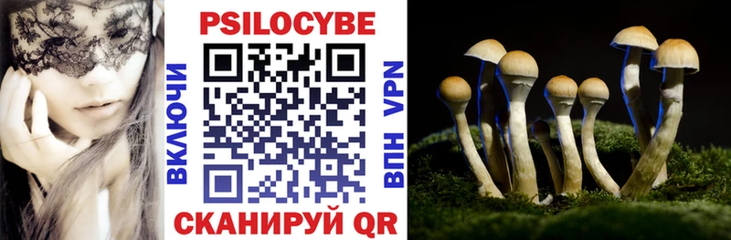 Псилоцибиновые грибы Cubensis  Новохопёрск 